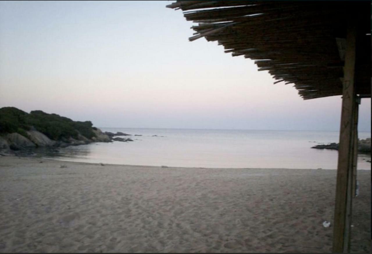 Graziosa Dependance Villa Stintino Dış mekan fotoğraf